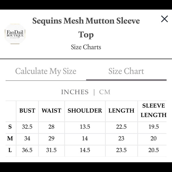 Sequins Mesh Mutton Sleeve Top - Picture 7 of 7